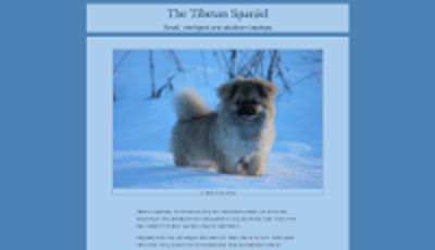 Thumbnail image of tibetan spaniel website