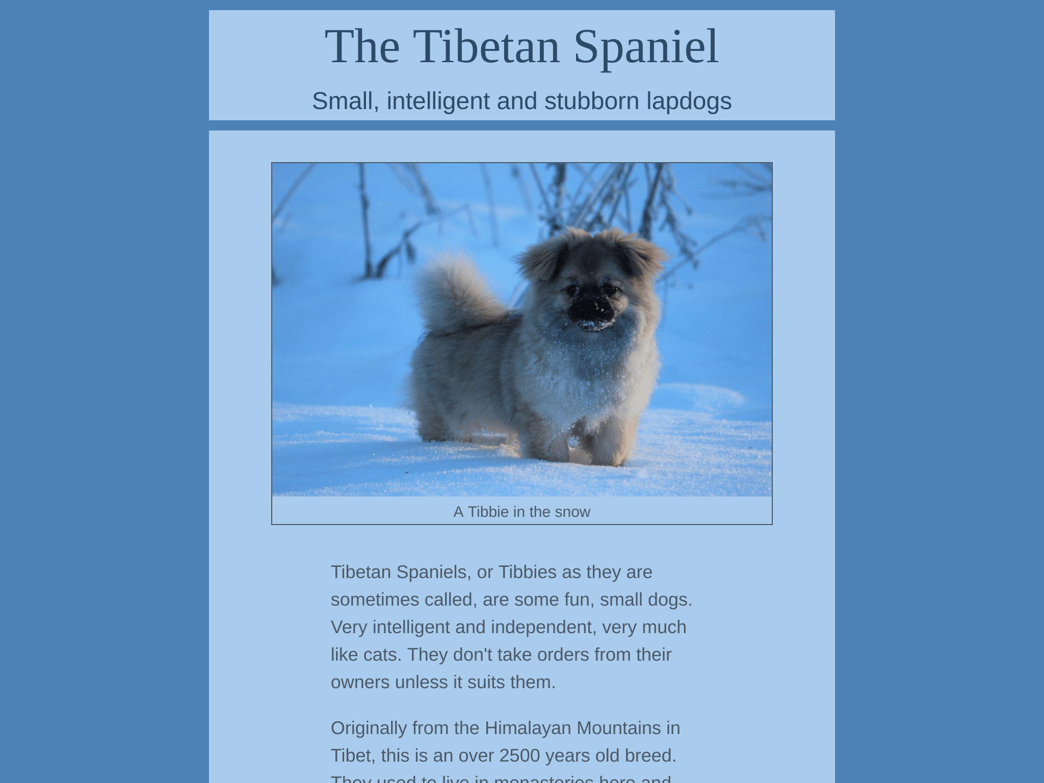 Tibetan Spaniel Tibute Page